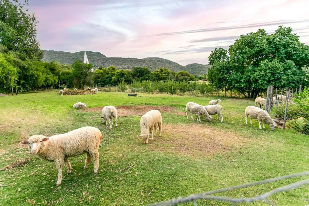 Die Fonteine Country Guesthouse And Glamping Oudtshoorn Zewnętrze zdjęcie