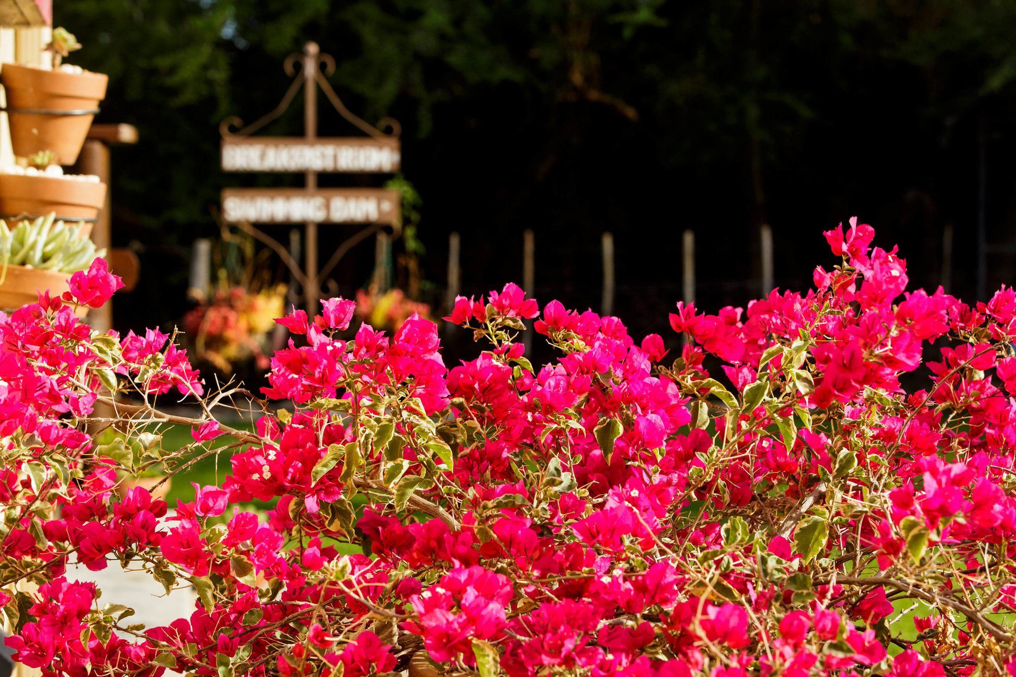 Die Fonteine Country Guesthouse And Glamping Oudtshoorn Zewnętrze zdjęcie